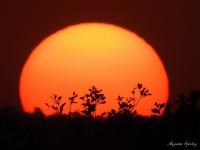 image_6483441 (2).jpeg